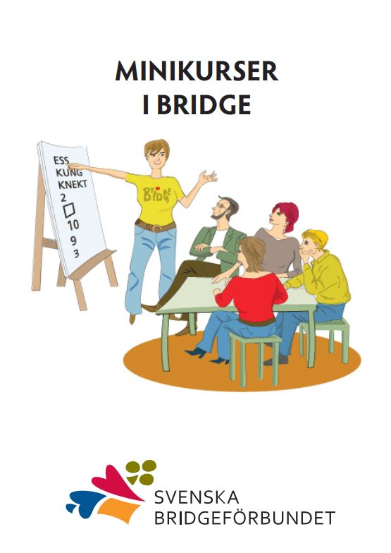 MinikursBridge